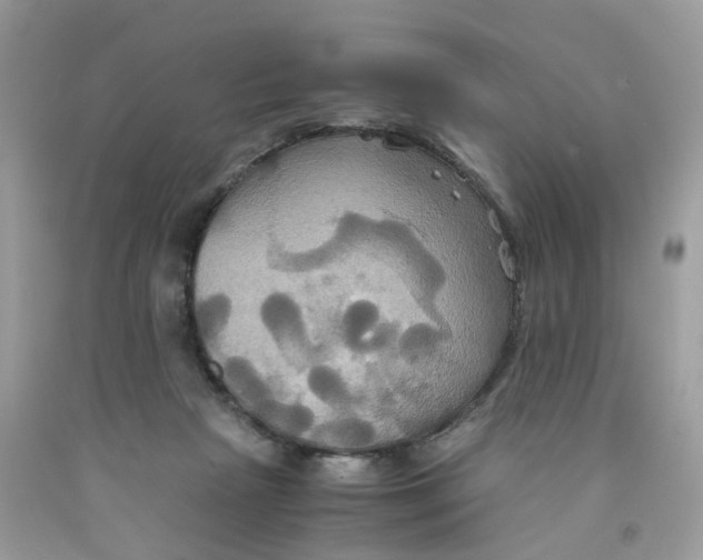 X0000091540265200709141501