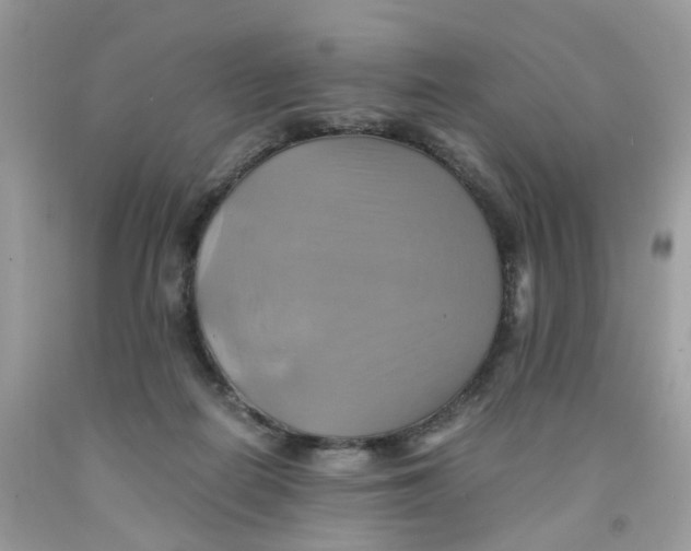 X0000091540266200709141501