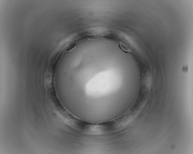 X0000091540268200709141501