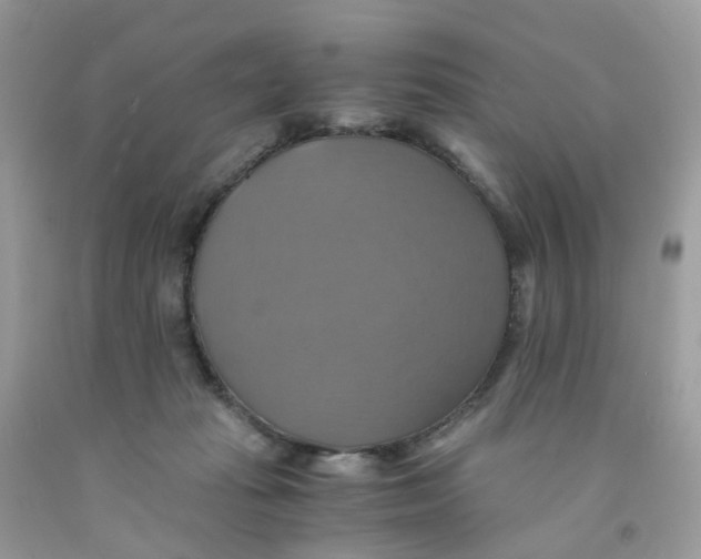 X0000091540269200709141502