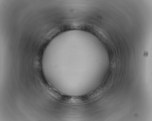 X0000091540270200709141502