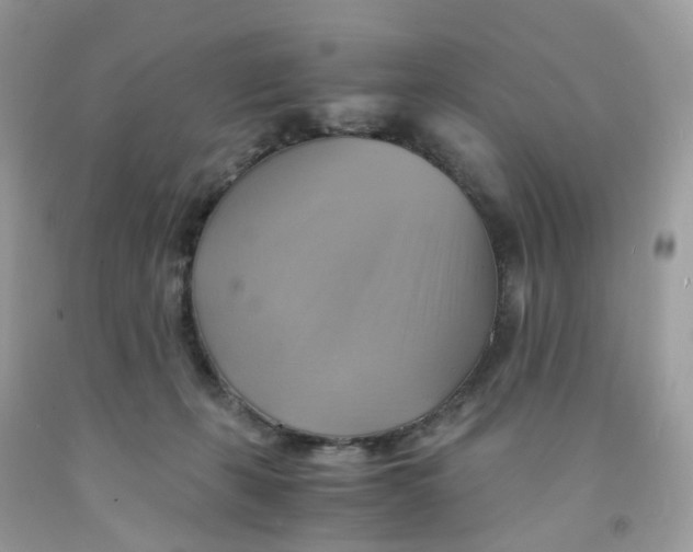 X0000091540271200709141502