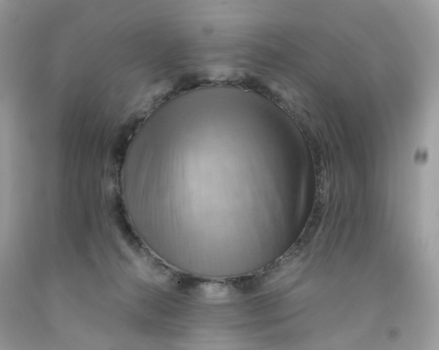 X0000091540272200709141502