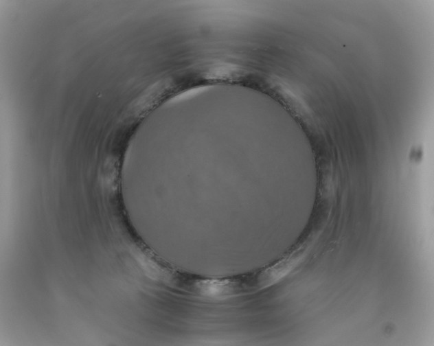 X0000091540273200709141502