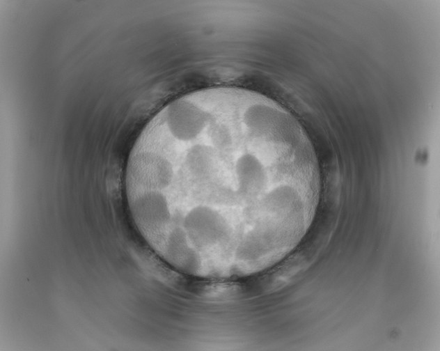 X0000091540274200709141502