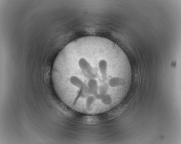 X0000091540275200709141502