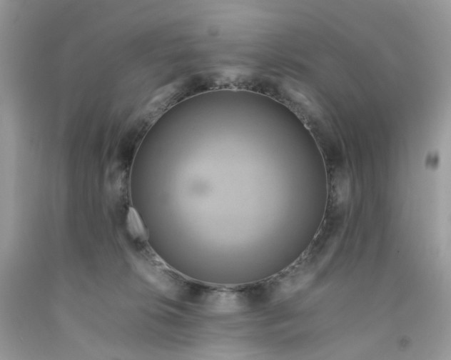 X0000091540276200709141502