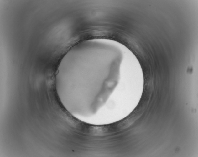 X0000091540277200709141502