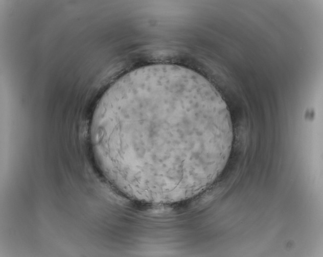 X0000091540278200709141502