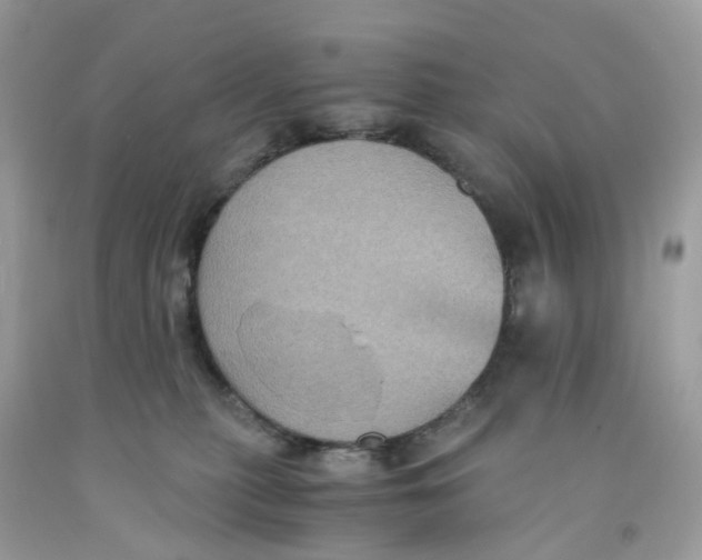 X0000091540279200709141502