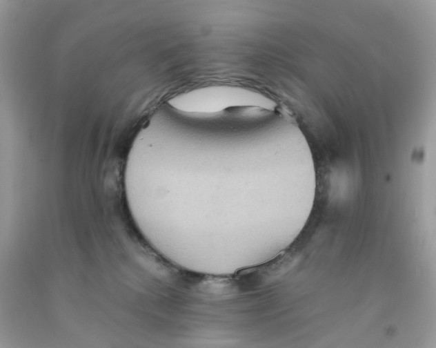 X0000091540280200709141502