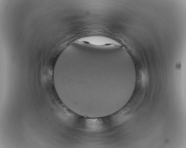 X0000091540281200709141502