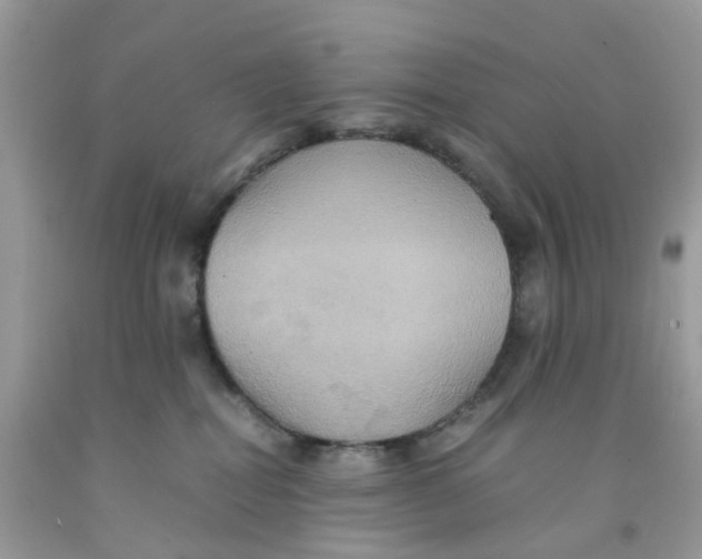 X0000091540282200709141502