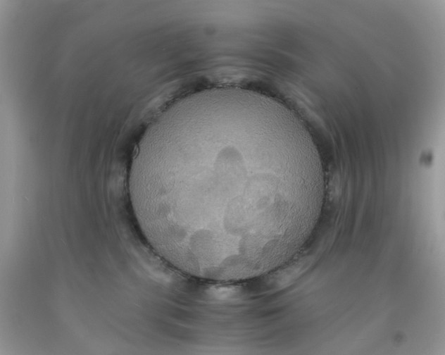 X0000091540283200709141502