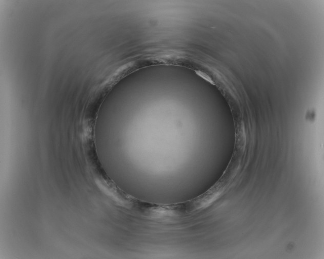 X0000091540284200709141502