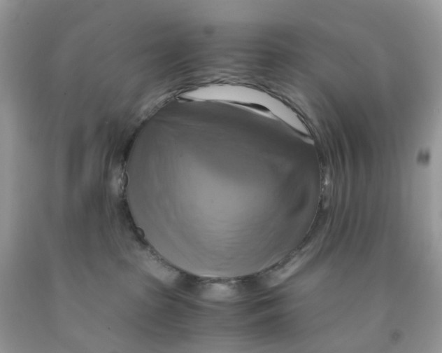 X0000091540285200709141502