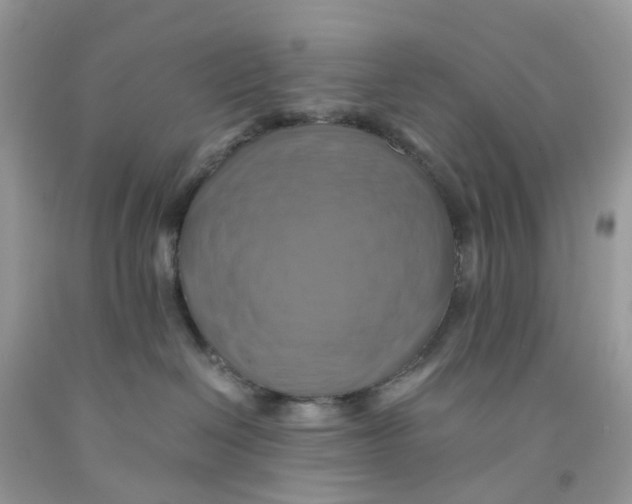 X0000091540286200709141502