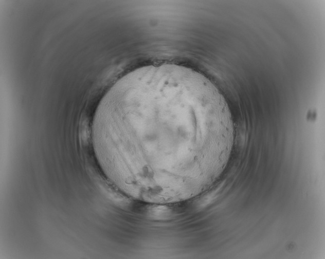 X0000091540287200709141502