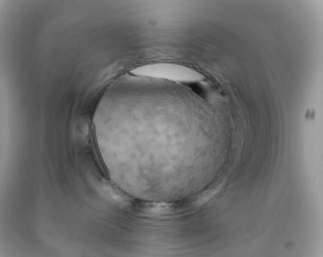 X0000091540288200709141502