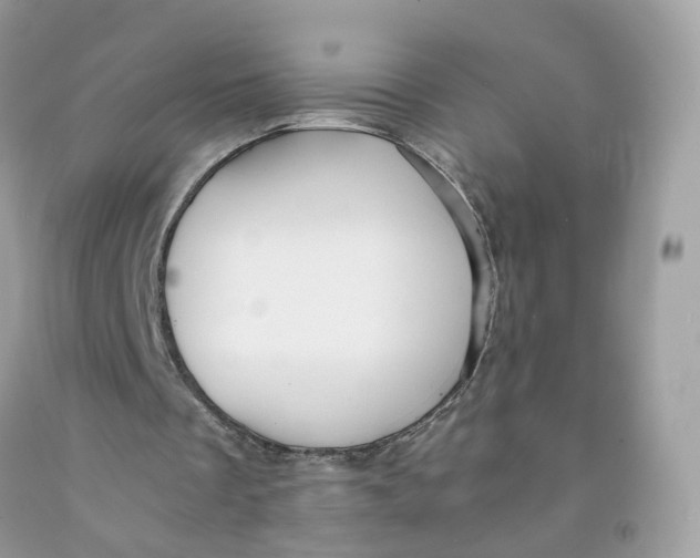 X0000091540289200709141501