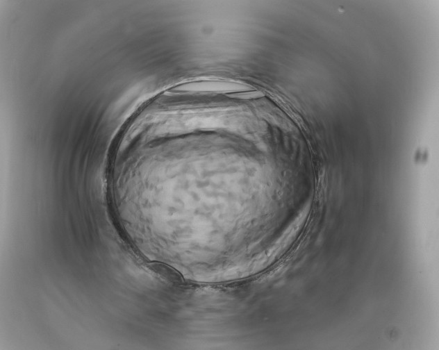 X0000091540290200709141501