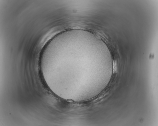 X0000091540291200709141501