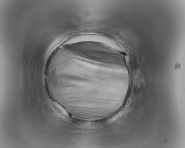 X0000091540293200709141501