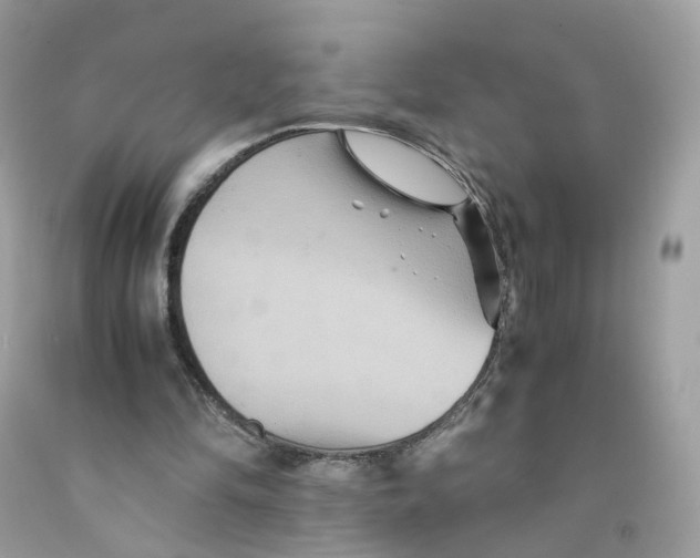 X0000091540294200709141501