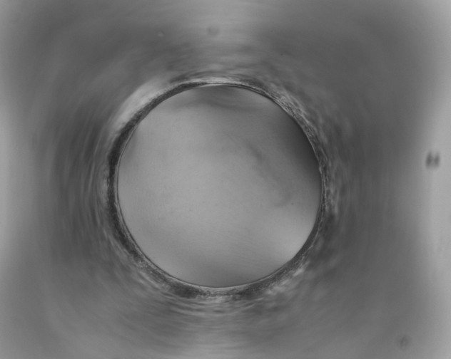 X0000091540295200709141501