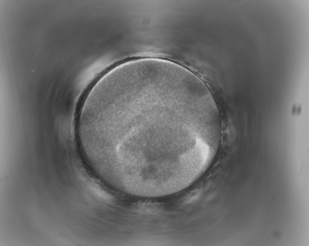 X0000091540296200709141501