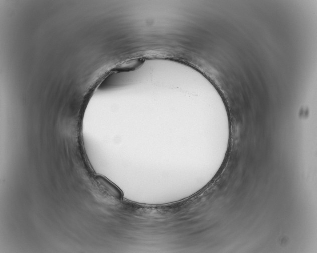 X0000091540297200709141501