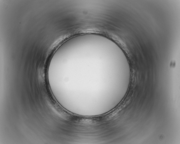 X0000091540298200709141501