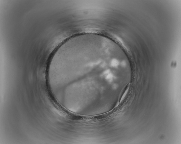 X0000091540299200709141501