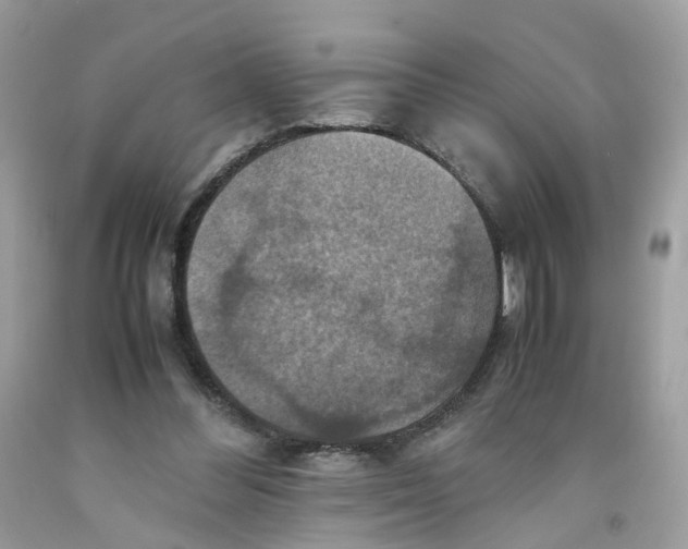 X0000091540300200709141501