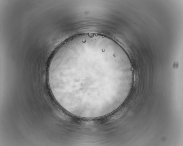 X0000091540301200709141501