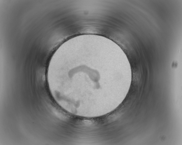 X0000091540302200709141501