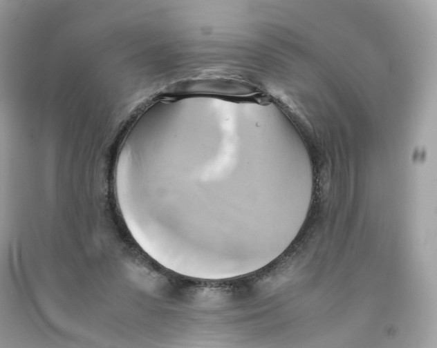 X0000091540303200709141501