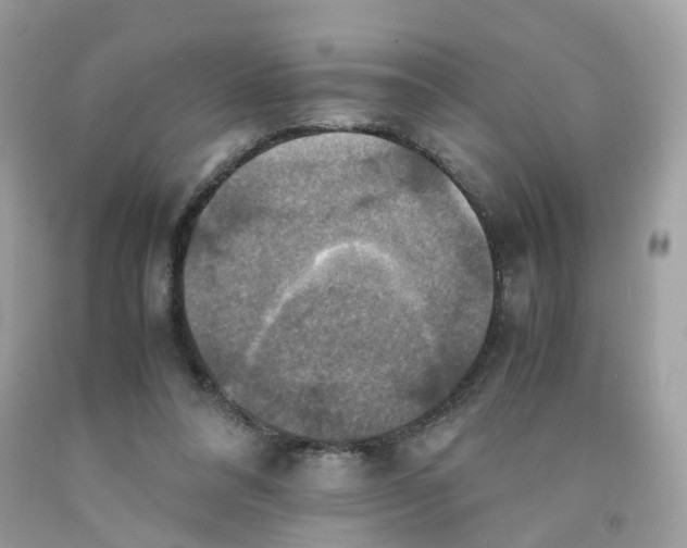 X0000091540304200709141501