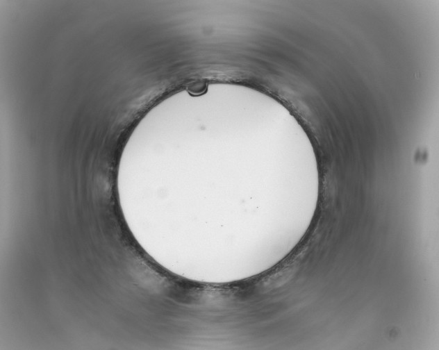 X0000091540305200709141501