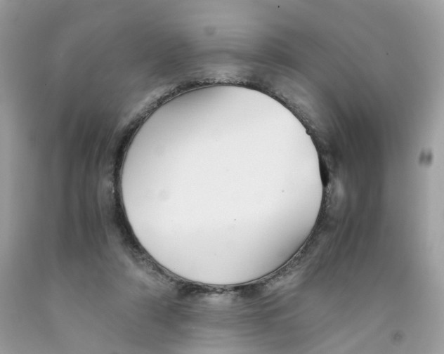 X0000091540306200709141501