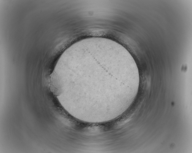 X0000091540307200709141501