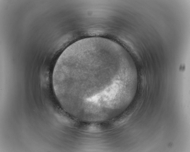 X0000091540308200709141501