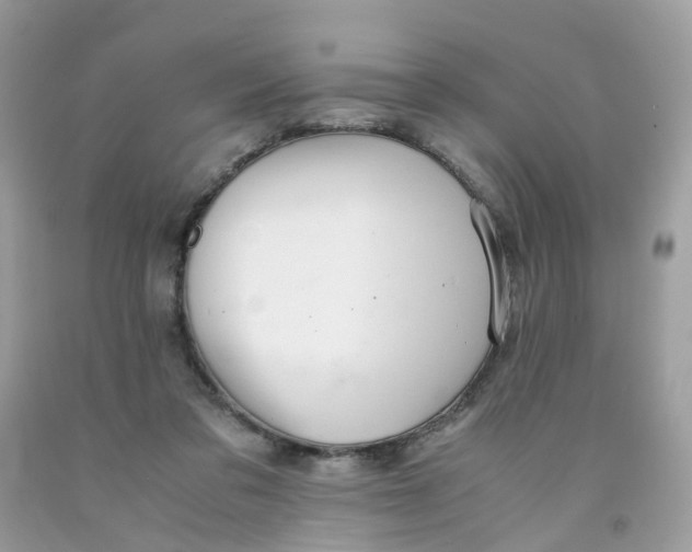 X0000091540309200709141501