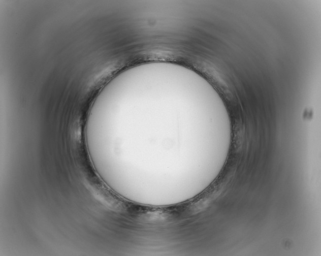 X0000091540310200709141501