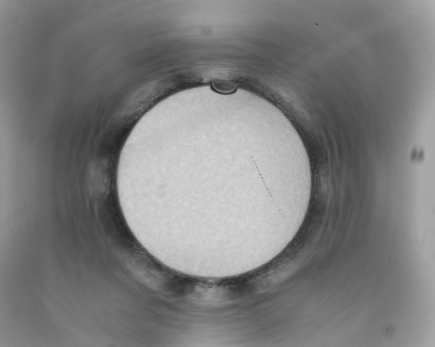 X0000091540311200709141501