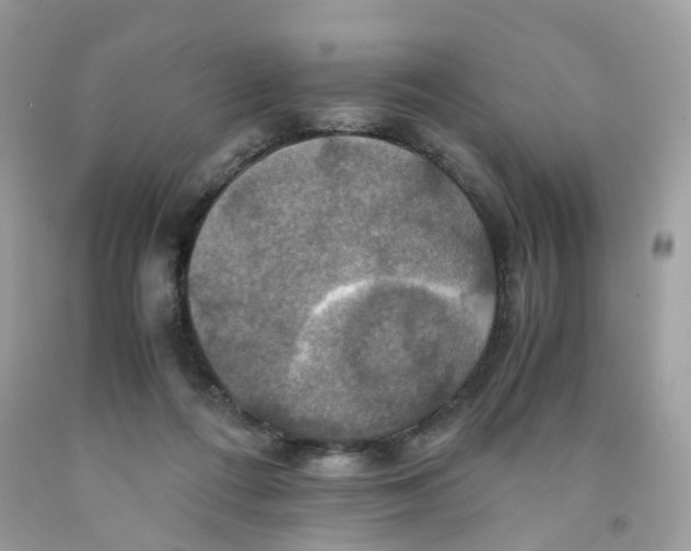 X0000091540312200709141501