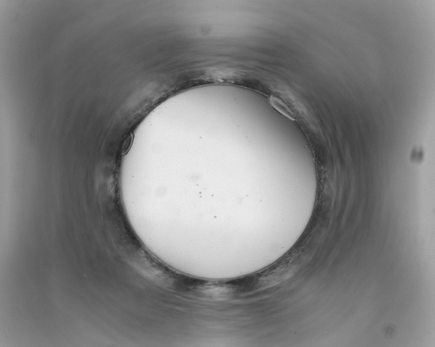 X0000091540313200709141501