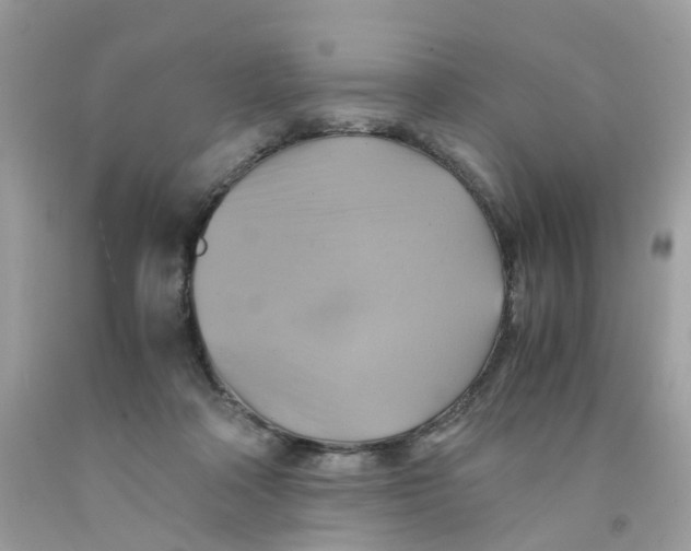 X0000091540314200709141501