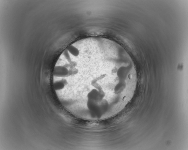 X0000091540315200709141501