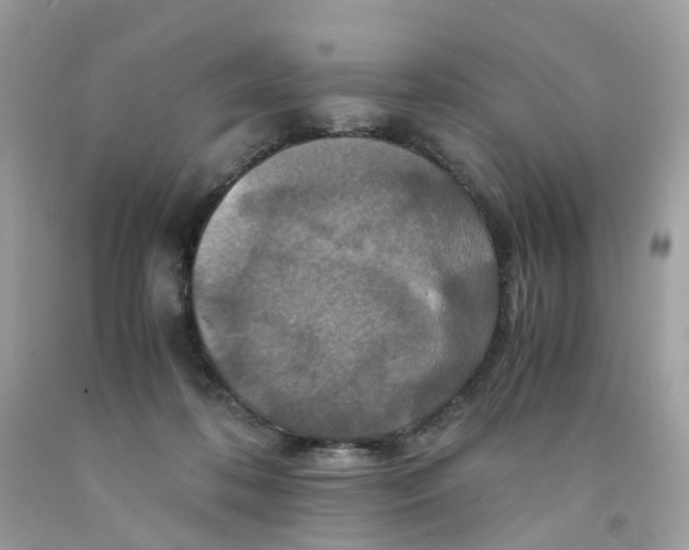 X0000091540316200709141501